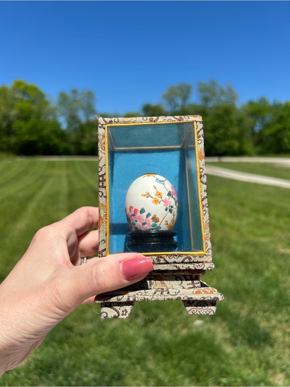 Vintage Chinese Art Painted Egg In Glass Case Bird &‎ Flowers soothing Scenery